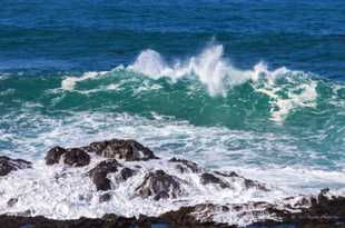 Mendocino headlands-5432